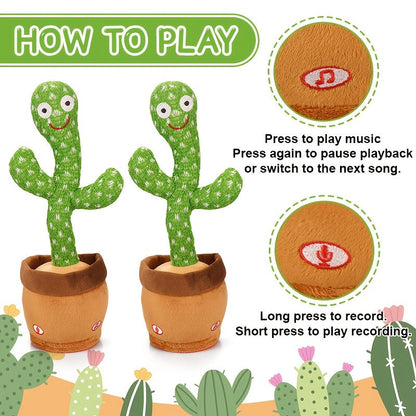 Dancing Cactus