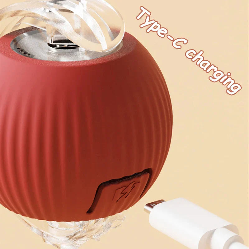 Rolling Ball Toy