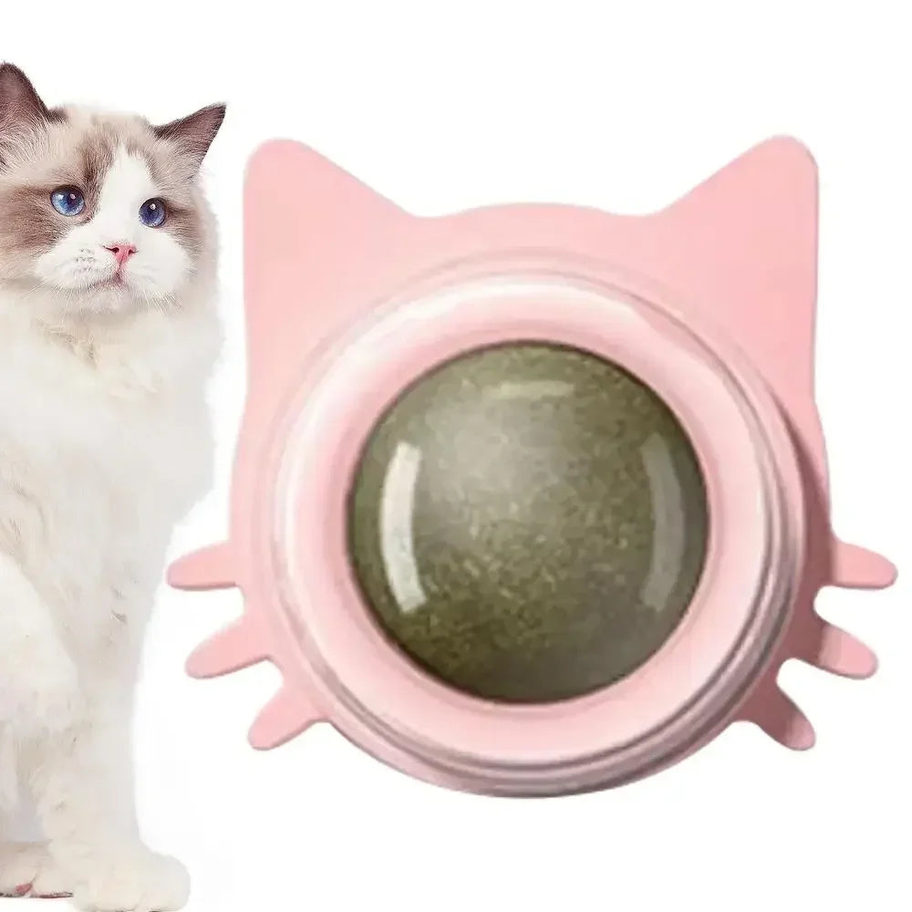 Lickable Catnip Ball