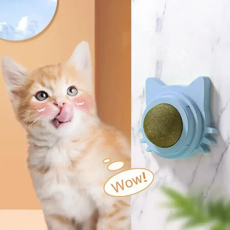 Lickable Catnip Ball