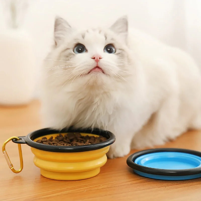 Folding Pet Bowl