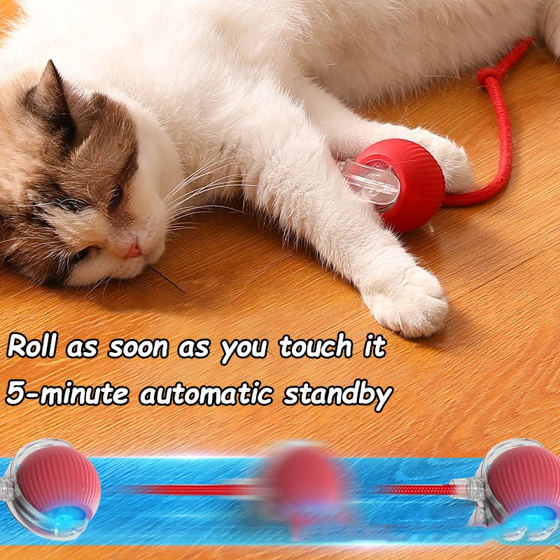 Rolling Ball Toy