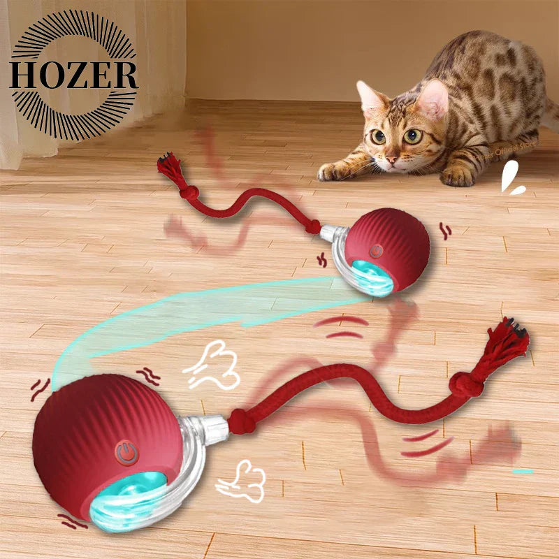Rolling Ball Toy