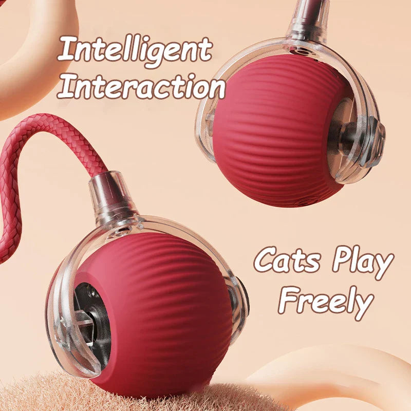 Rolling Ball Toy
