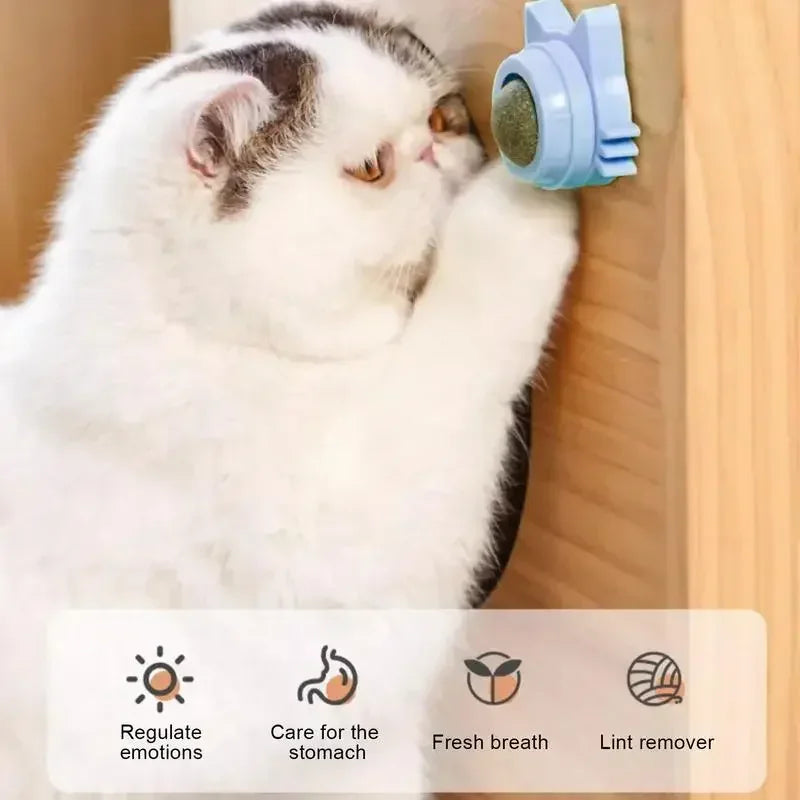 Lickable Catnip Ball