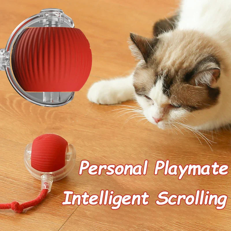 Rolling Ball Toy