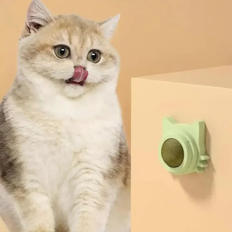 Lickable Catnip Ball