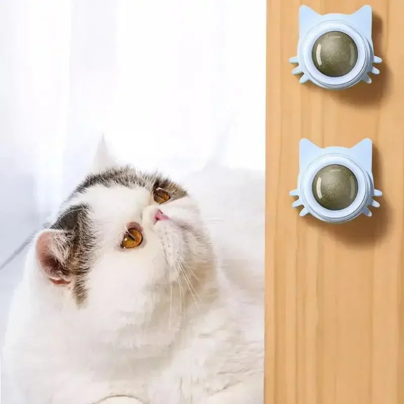 Lickable Catnip Ball