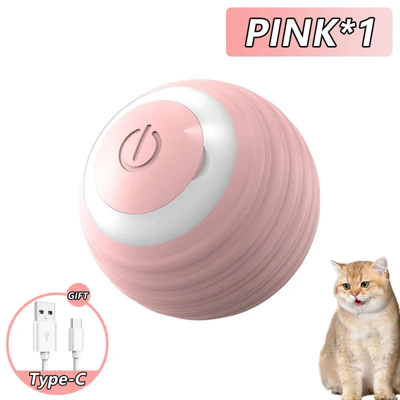 Rolling Ball Toy