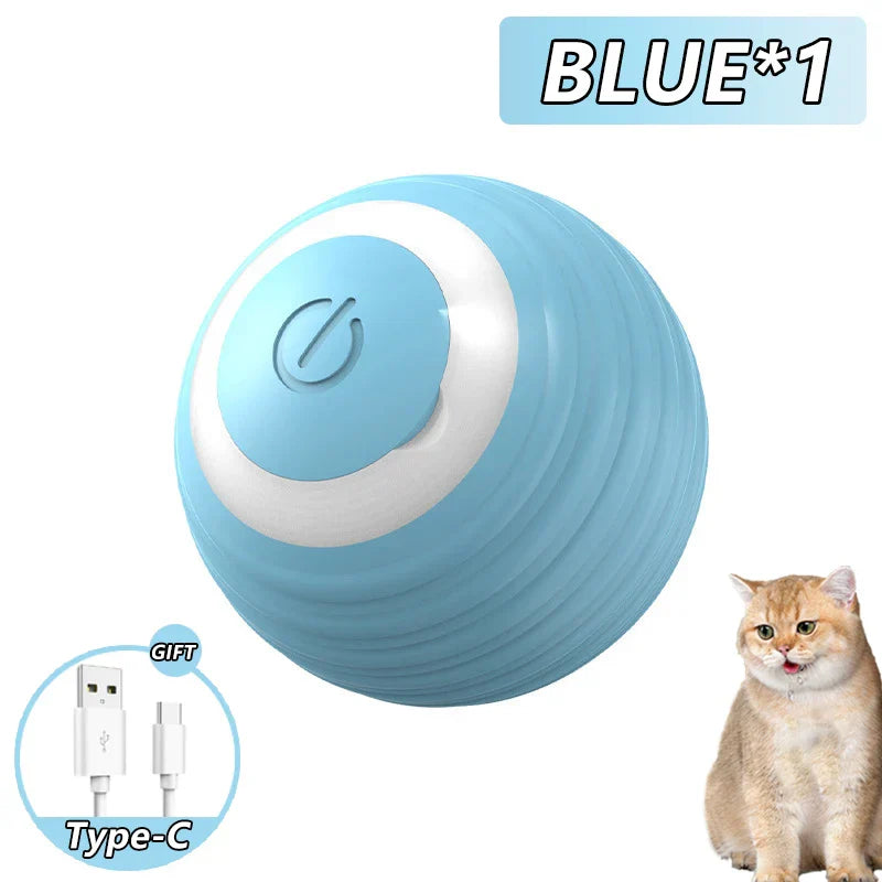 Rolling Ball Toy