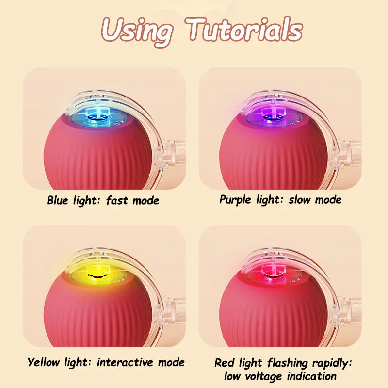 Rolling Ball Toy